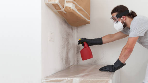 Professional Black Mold Remediation technician working in Fairview, NY